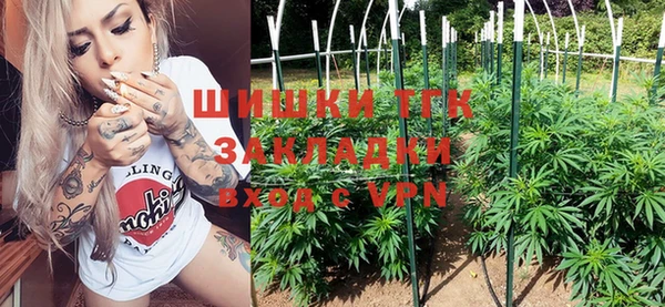 молекула духа Алексеевка