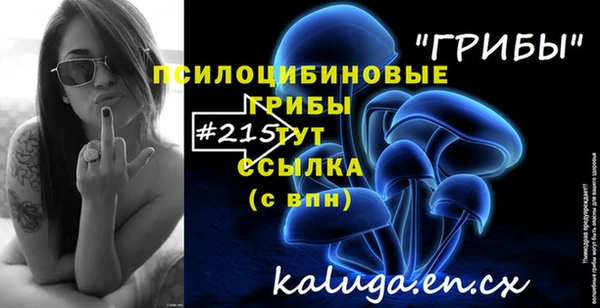 PSILOCYBIN Алексин