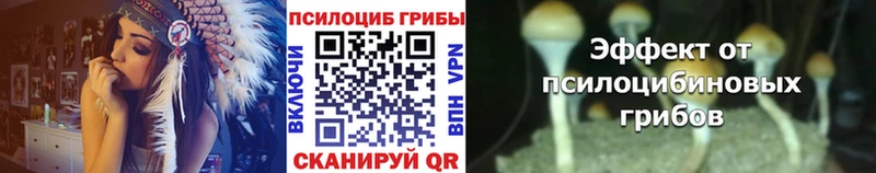 Псилоцибиновые грибы ЛСД  Нестеров 